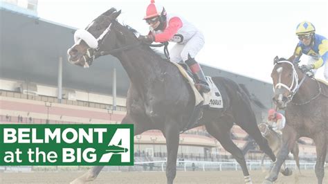 belmont talking horses picks today.
